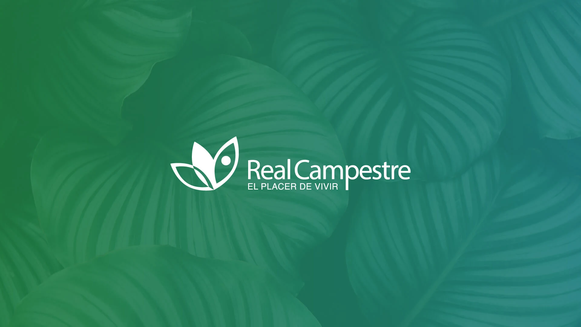 Portafolio Grupo SAME