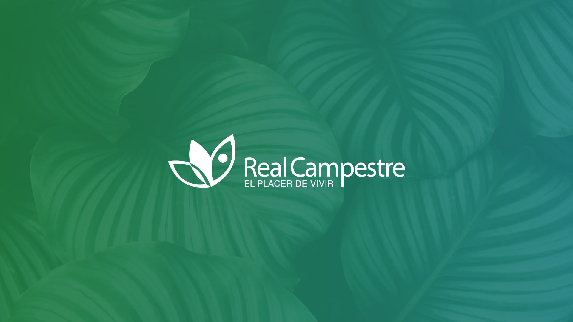 Equipo SAME | Diseño de estrategías